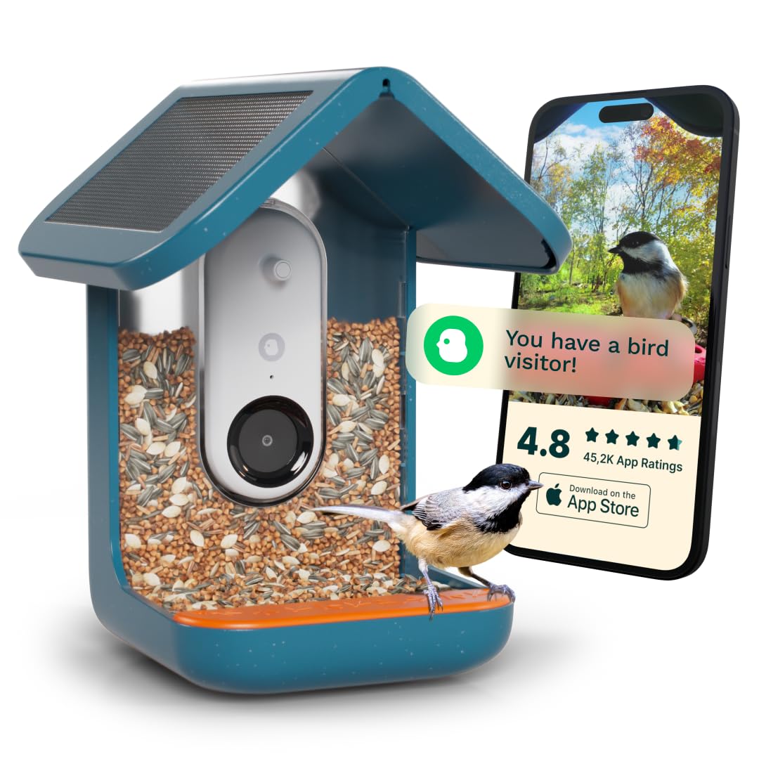Bird Buddy Solar Smart Bird Feeder